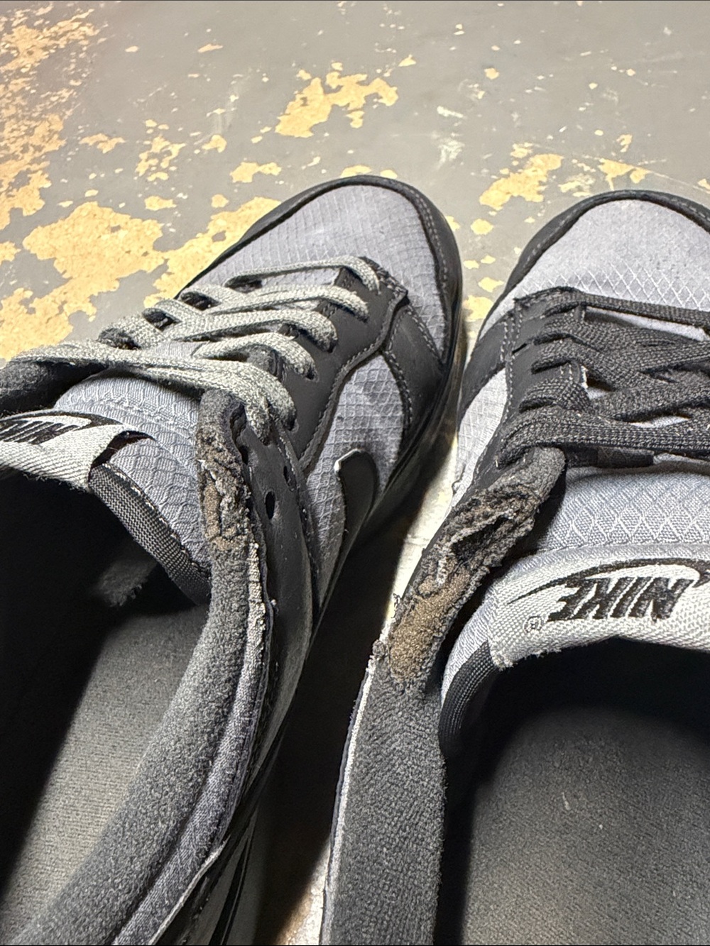 Dunks - Picture 5 of 7